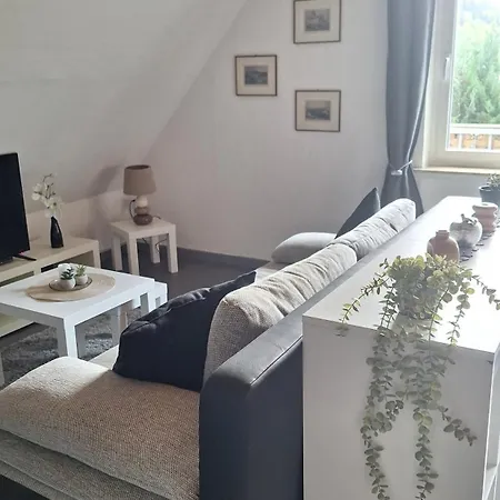 Haus Westharz Hahnenklee Apartament