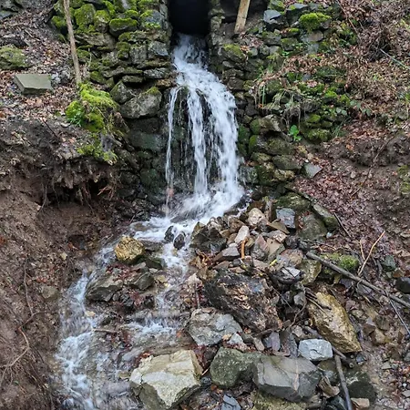 Haus Westharz Hahnenklee * Bad Grund